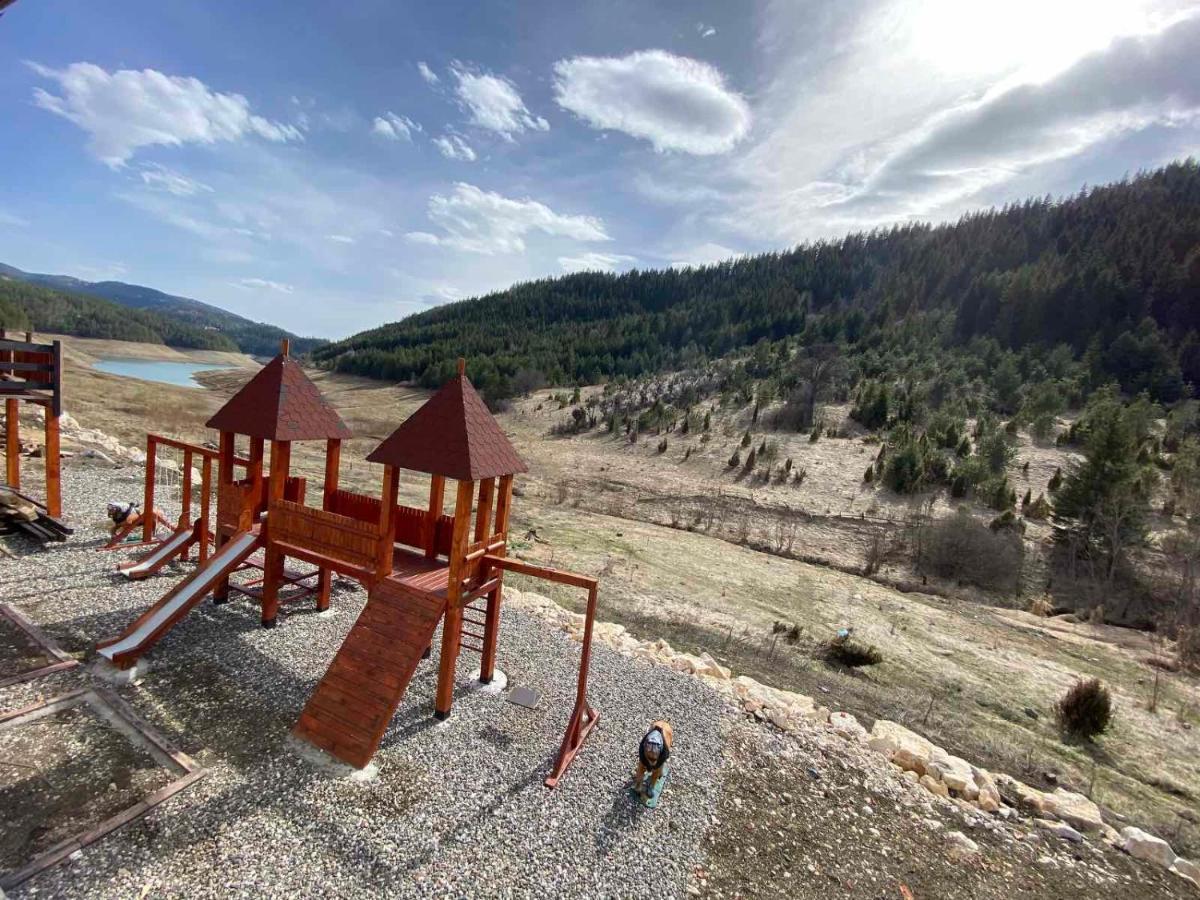 Zaovinski Raj Tara Vilă