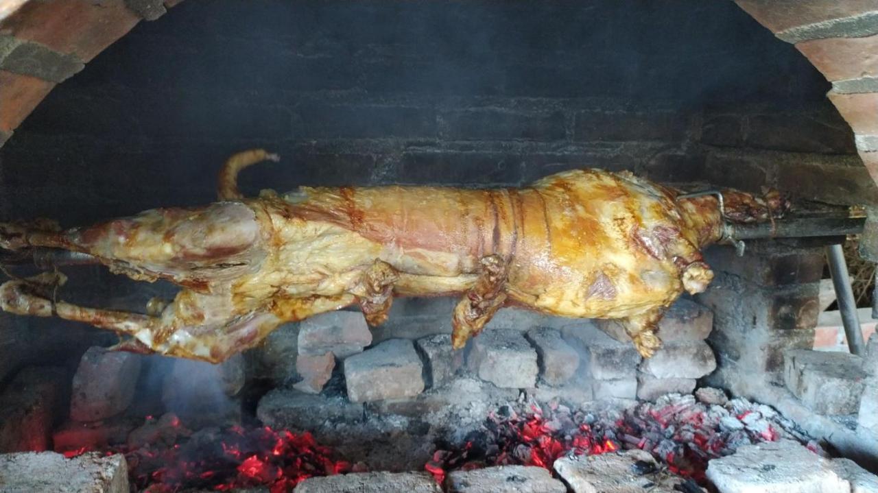 Zaovinski Raj Tara Konjska Reka