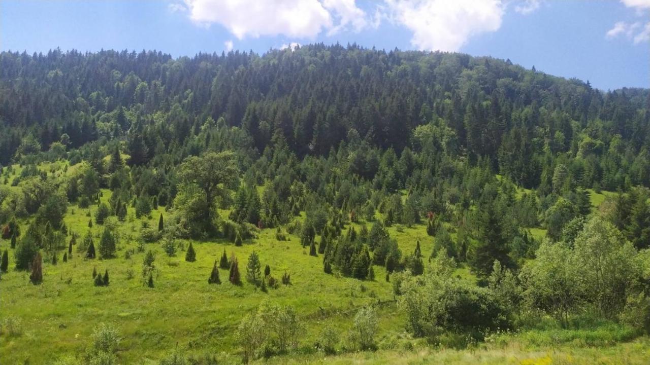Zaovinski Raj Tara *